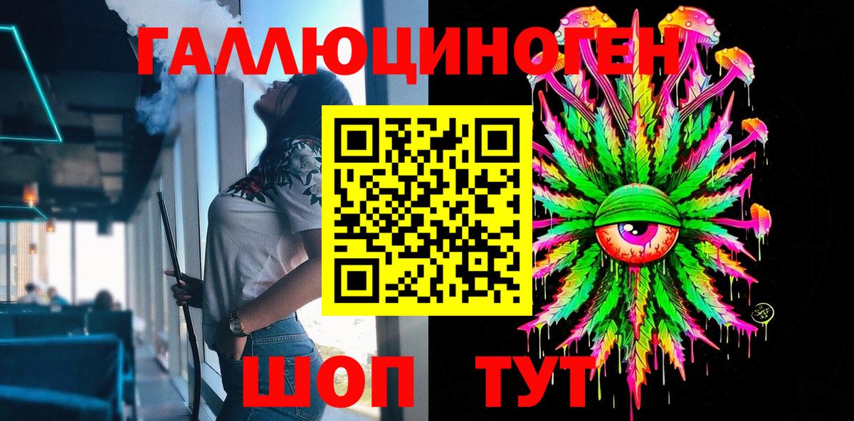 Псилоцибиновые грибы Psilocybine cubensis Лысьва
