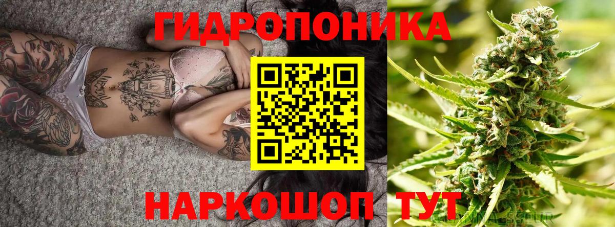 Бошки Шишки план Лысьва